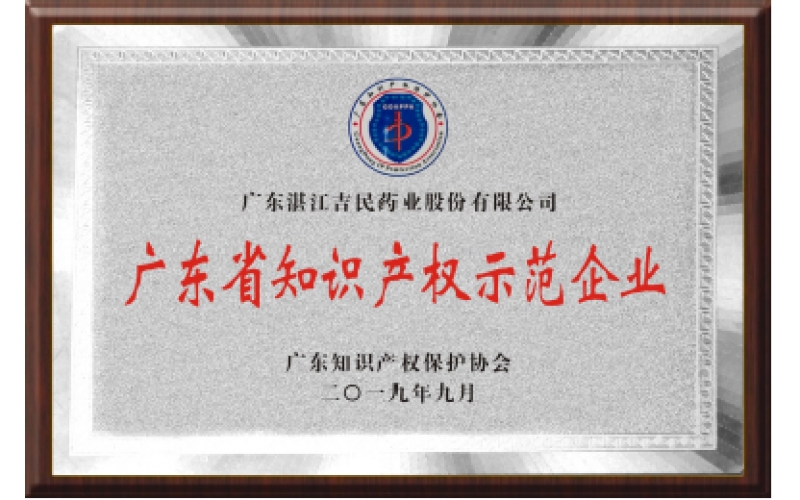廣東省知識產權示范企業